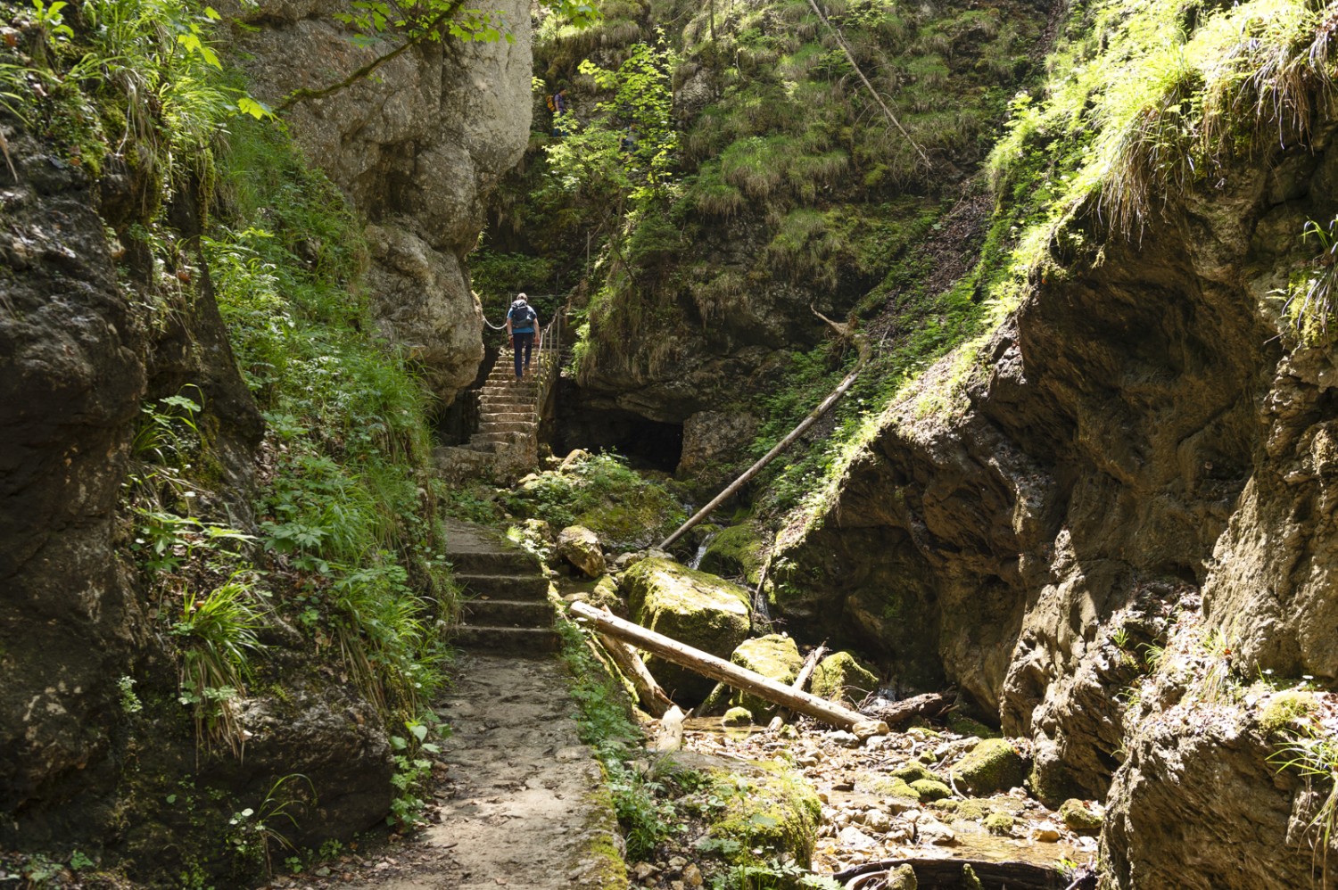 Treppen und Geländer machen den Abstieg in die Schlucht einfacher. Photo: Raja Läubli