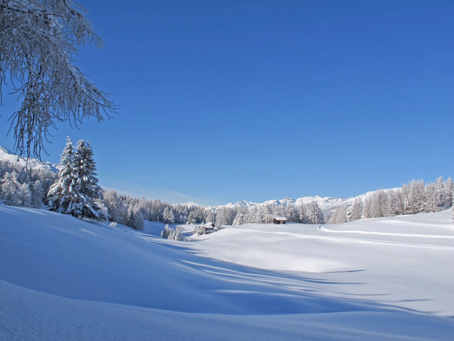 La scène évoquerait presque la Scandinavie. Photo: Bürchen Unterbäch Tourismus