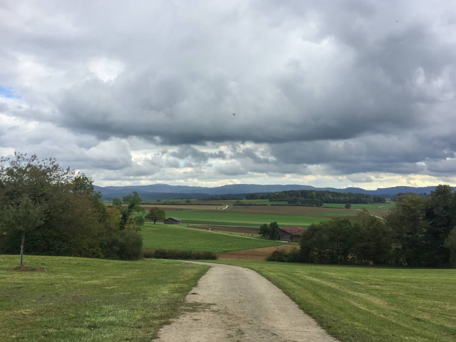 Vue sur l’Ajoie avant de poursuivre la randonnée dans la forêt. Photo: Vera In-Albon