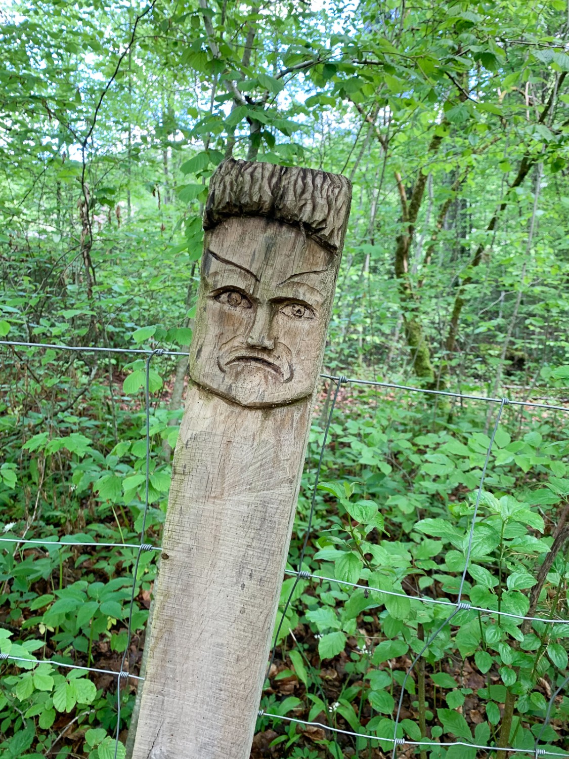 Après l’abbaye d’Hauterive, de très nombreux poteaux en bois sculptés de visages ou d’animaux jalonnent le chemin le long de la Sarine. Photo: Monika Leuenberger