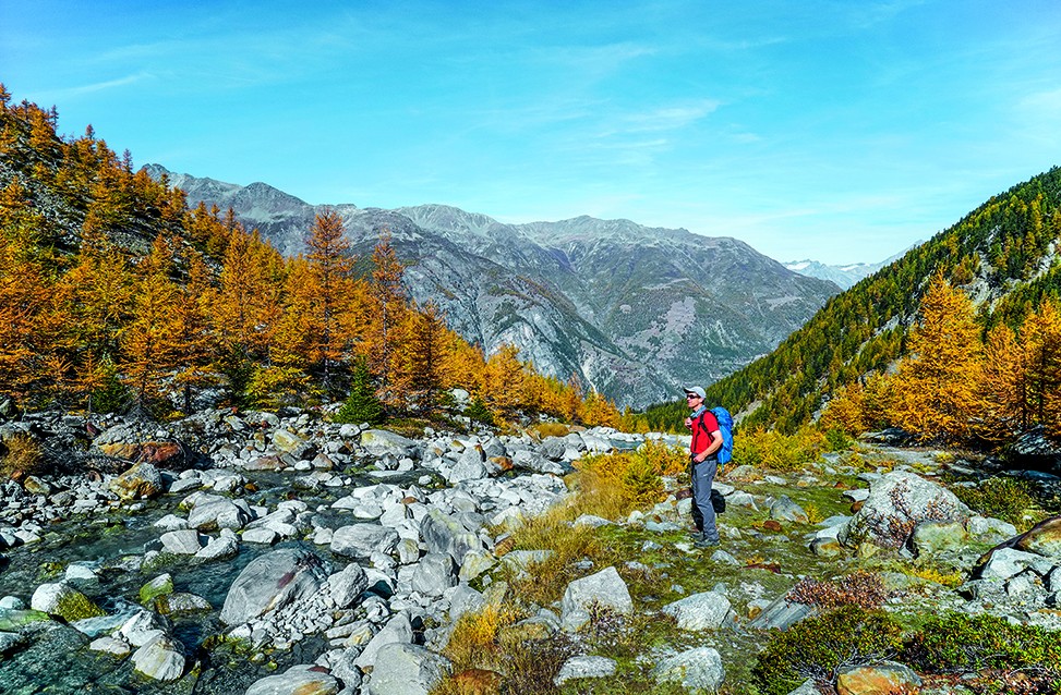 Couleurs automnales dans la montée vers la porte du glacier.Photos: Fredy Joss