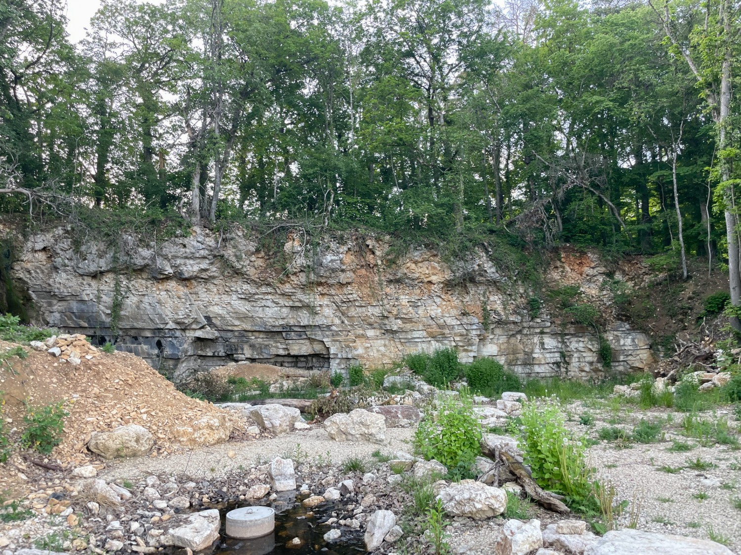 Für die gefährdete Geburtshelferkröte wurde beim ehemaligen Kalksteinbruch ausserhalb von Lohn ein Biotop erstellt. Bild: Vera In-Albon