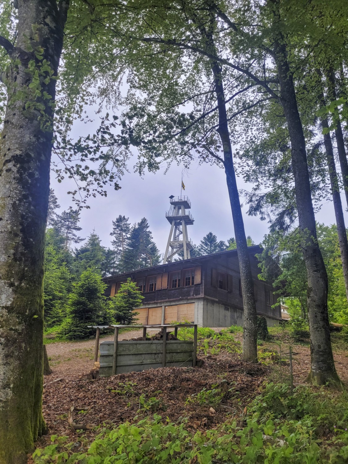 Non si può fare davvero a meno di salire sulla torre panoramica Hohwacht. Foto: Yolanda Loosli