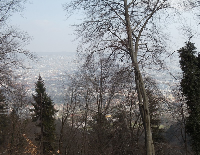 Vue du chalet «Teehütte Fallätsche».