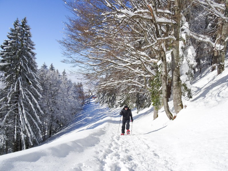 Une petite ascension rapidement négociée. (Photo: Vera In-Albon)