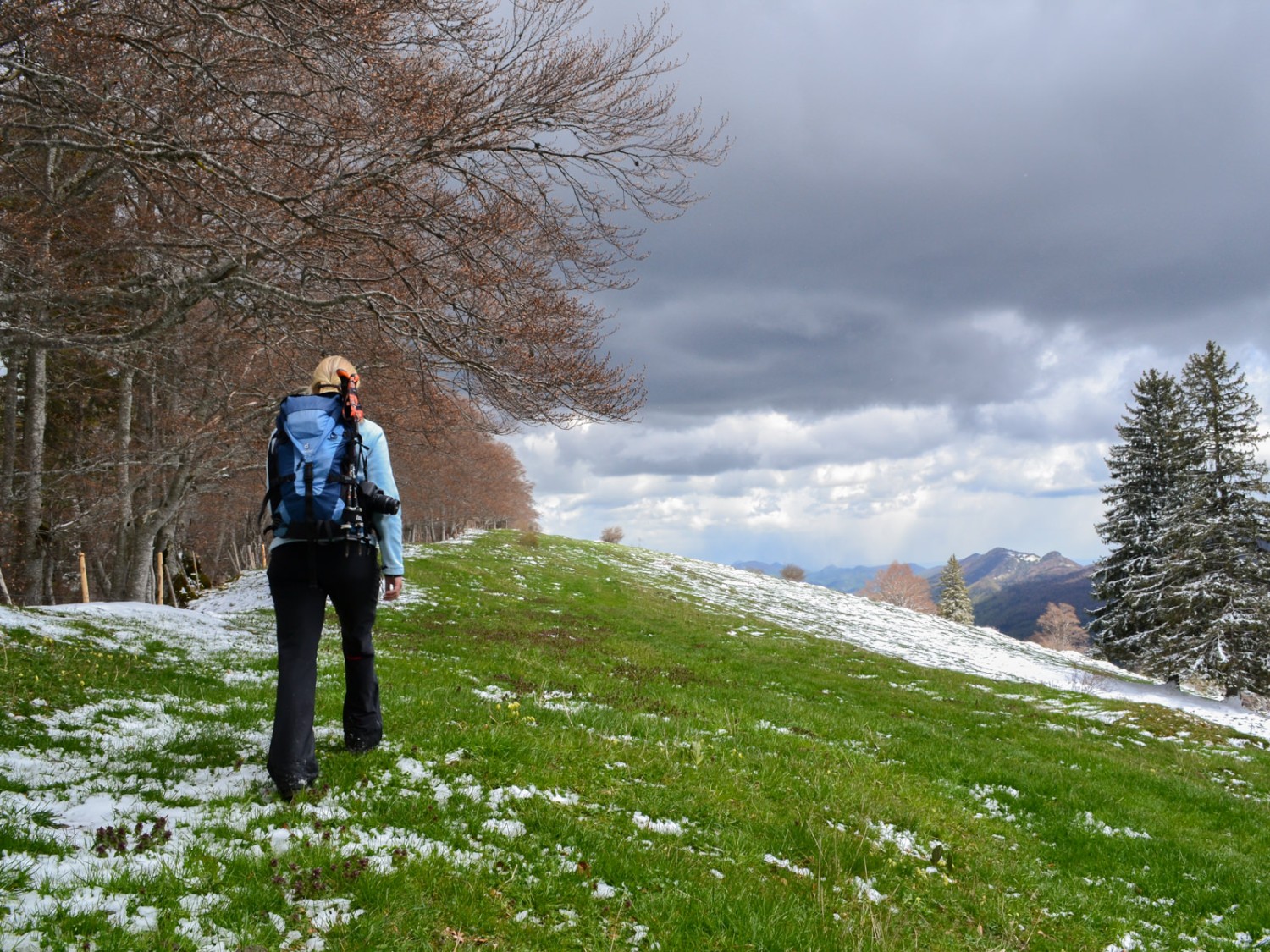 Le chemin de randonnée suit les crêtes de l’Oberdörferberg. Photo: Sabine Joss