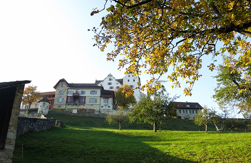 Le château de Wildegg se dresse sur le Chestenberg. Photo: Marina Bolzli