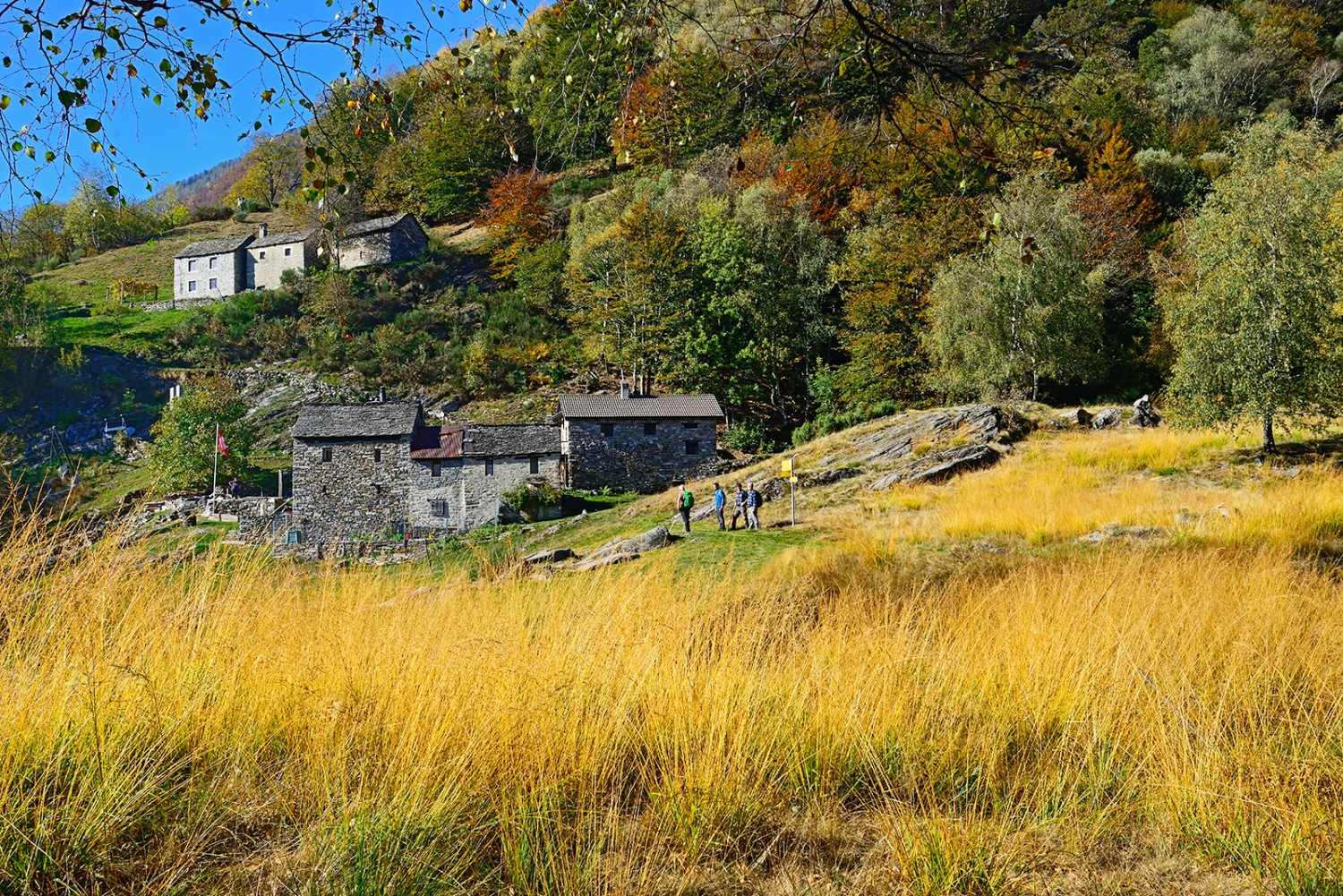 A l’orée de la forêt, on découvre Solada d'Zora. Photo: natur-welten.ch