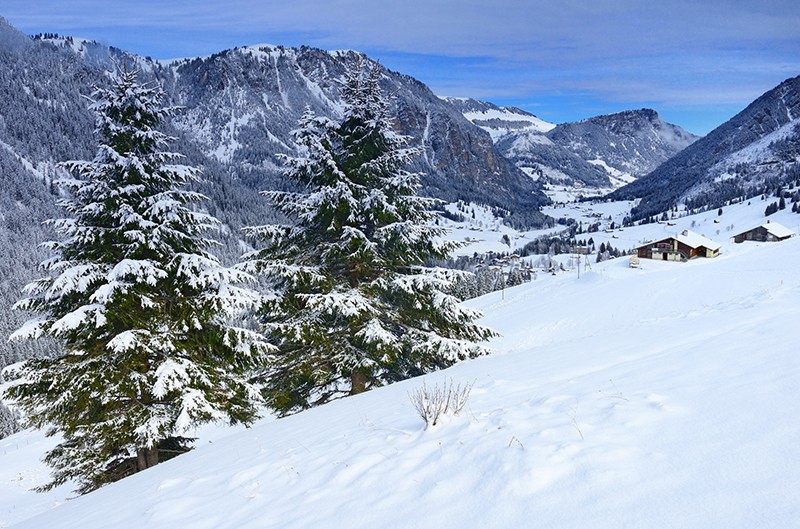 Nell’eldorado degli amanti degli sport invernali che cercano la tranquillità, gli escursionisti rispettano gli animali selvatici. Foto: natur-welten.ch