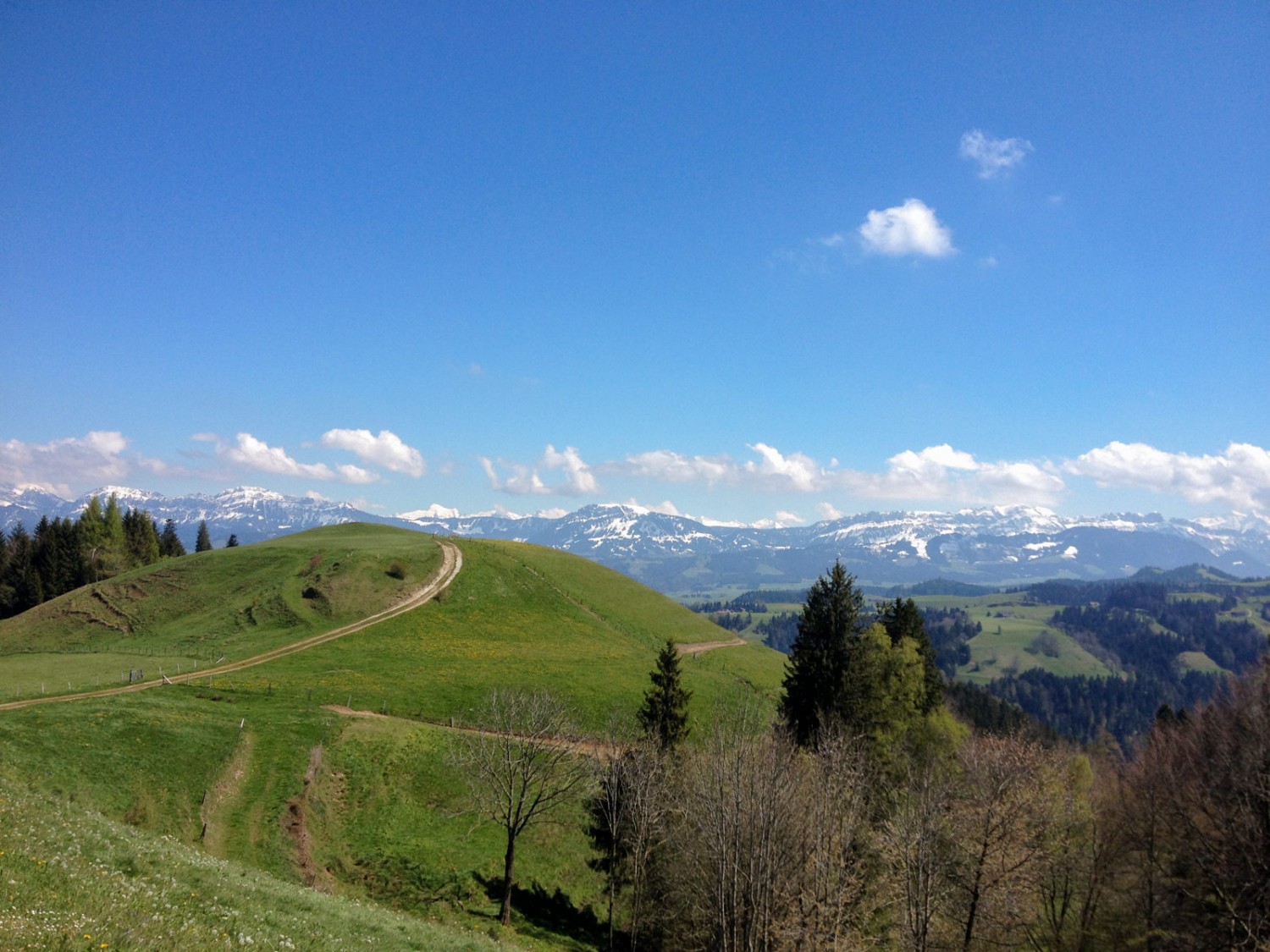 Vaste panorama depuis le village ensoleillé de Menzberg. Photo: Claudia Peter