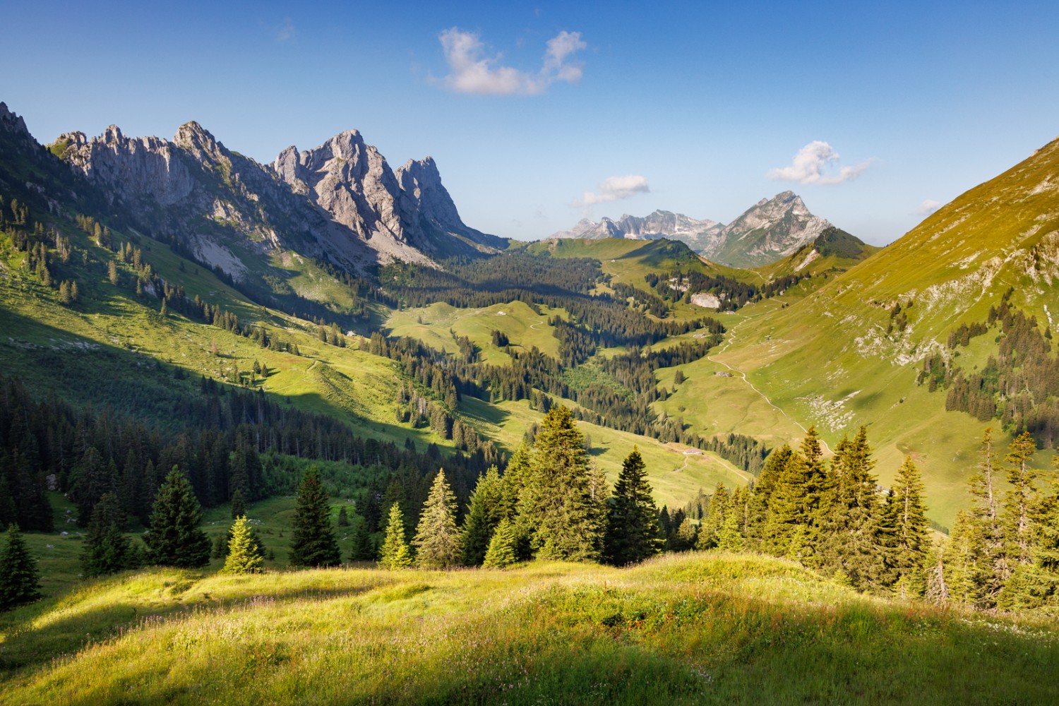 S’attarder à proximité du Chalet du Soldat permet de s’imprégner de la verdure préalpine environnante. Photo: Severin Nowacki