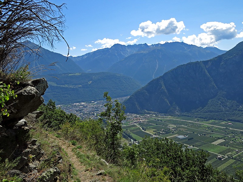 Am Ende des Aufstiegs hat man einen guten Ausblick aufs Rhoneknie. Bilder: Marina Bolzli