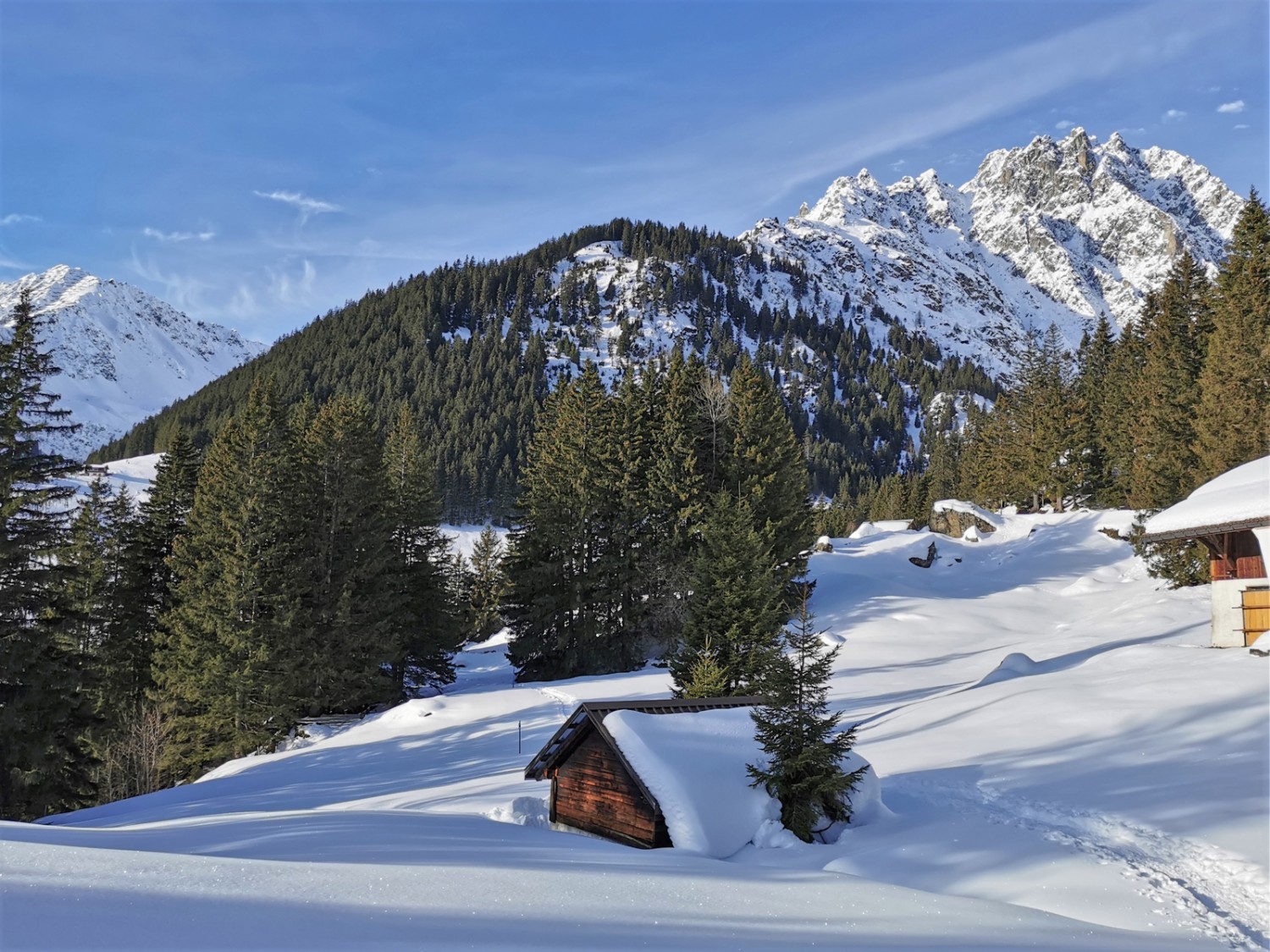 Sur le chemin, en direction de Diessenbrunnen. Photo: Andreas Staeger