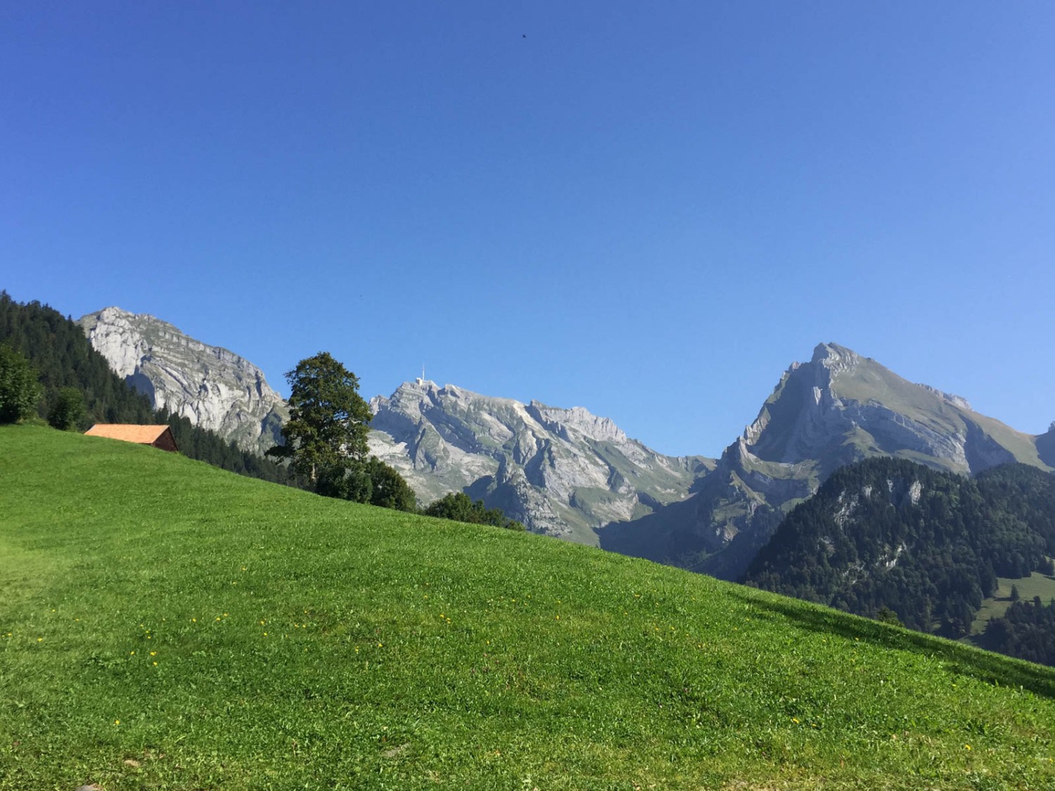 Vue sur le Säntis et le Wildhuser Schofberg. Photo: Vera In-Albon