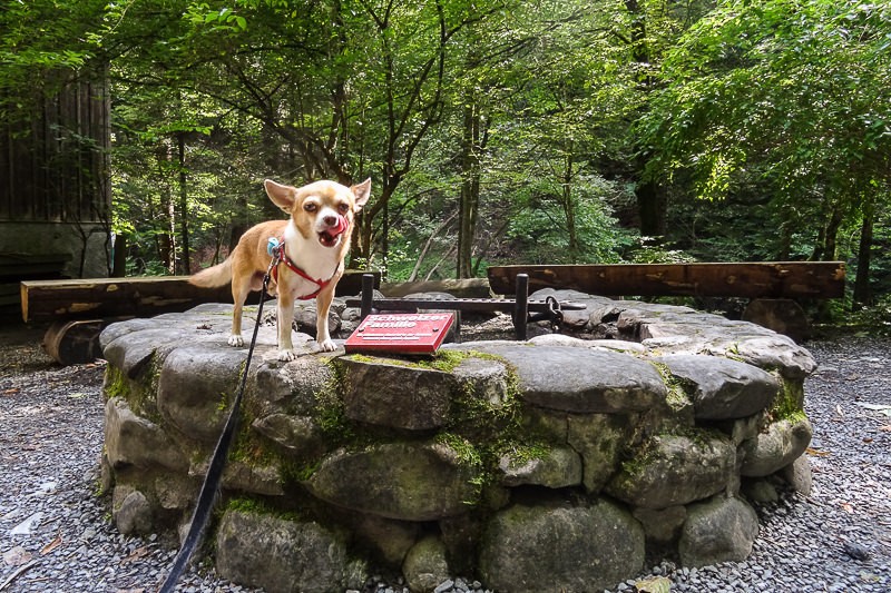 Picknick an der Feuerstelle. Bild: Vera In-Albon