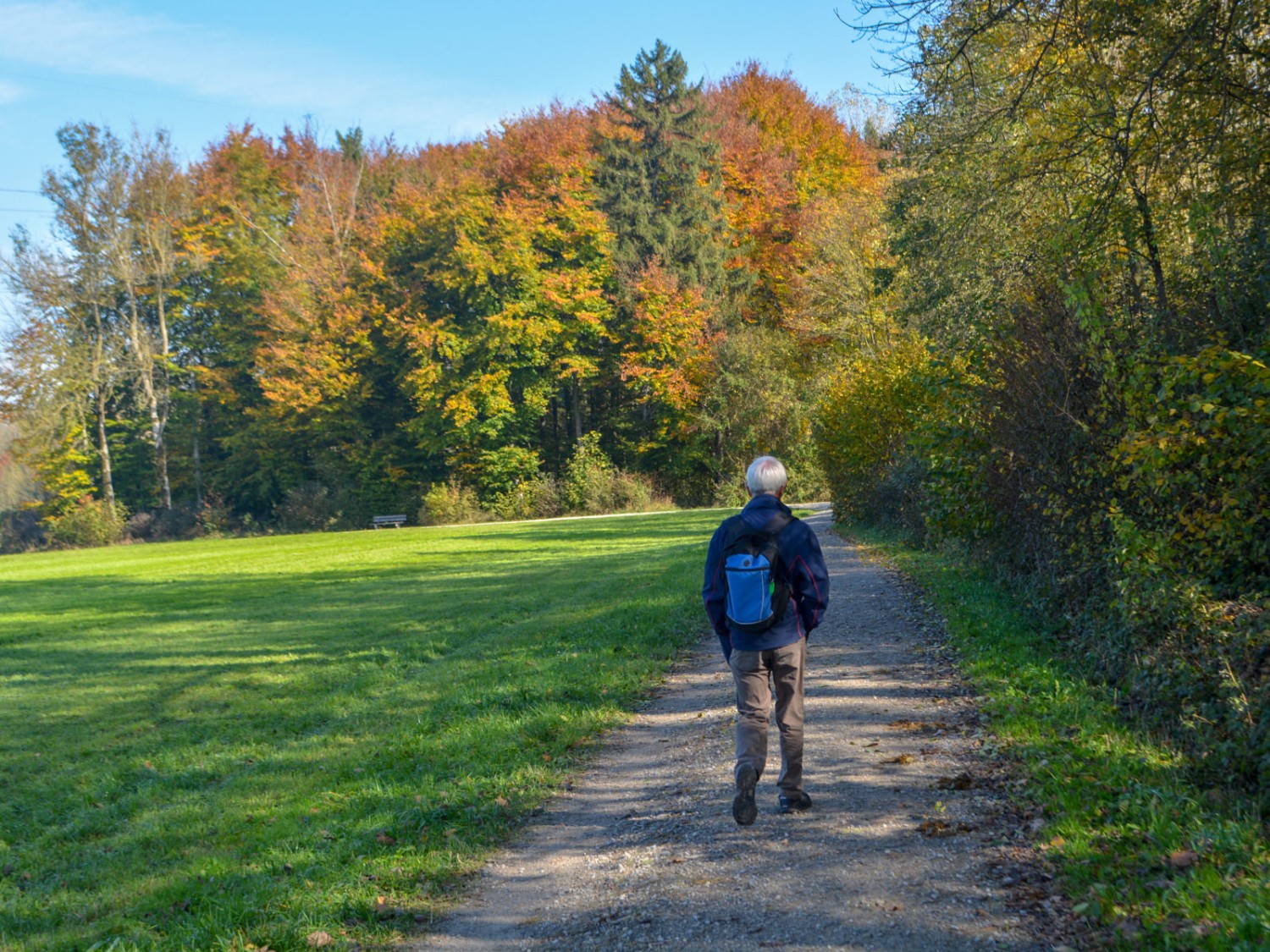 Angenehme Wanderung im und am Wald entlang. Bild: Werner Nef