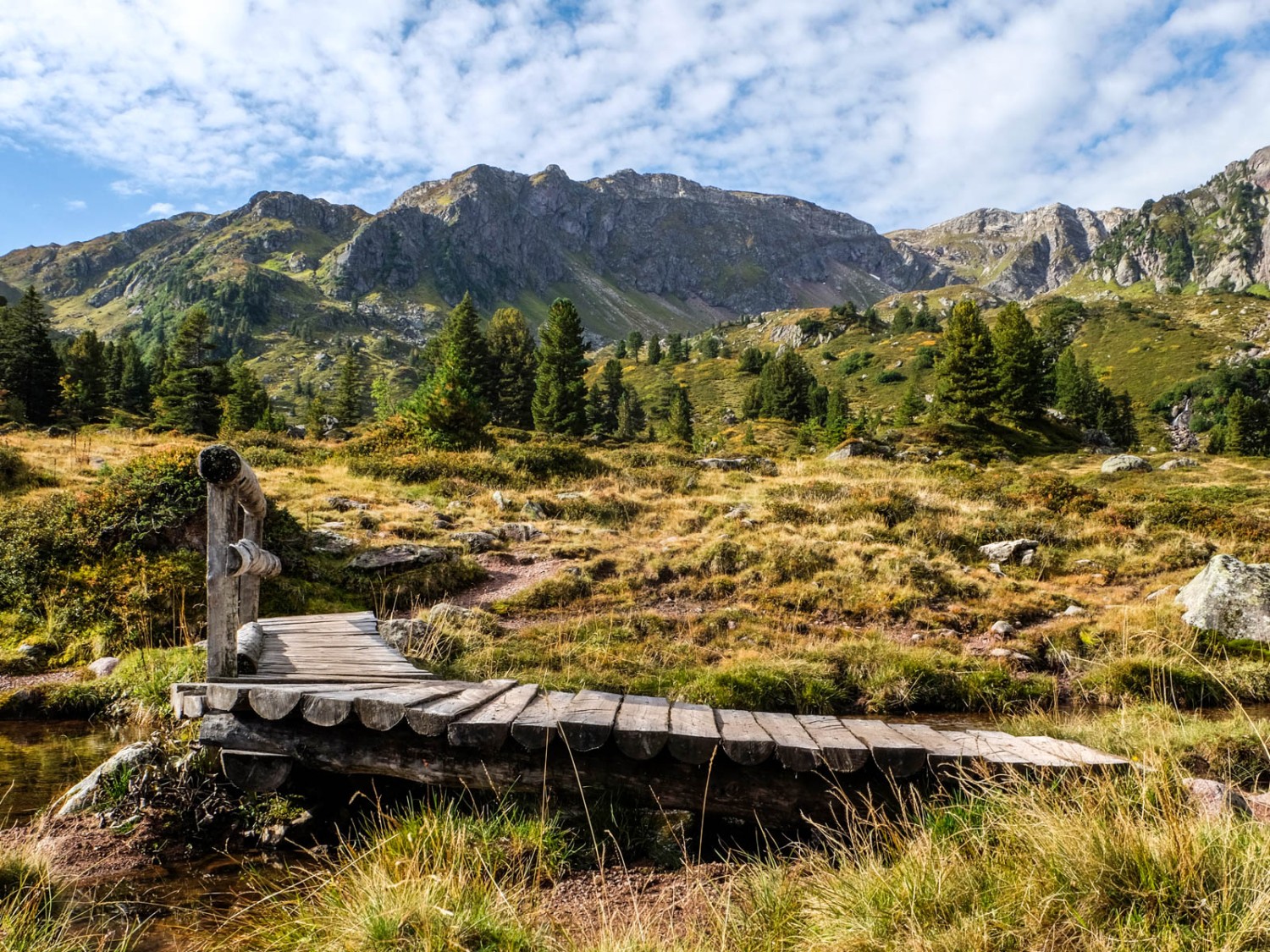 Abstieg im lockeren Arvenwald durchs Mürtschental und über Moor hier und da. Bild: Elsbeth Flüeler