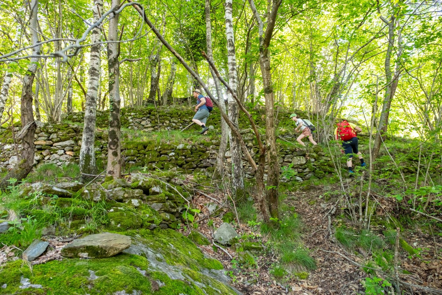 Die sogenannte Garlenda verbirgt sich im Wald oberhalb der Sant’Anna-Kirche.