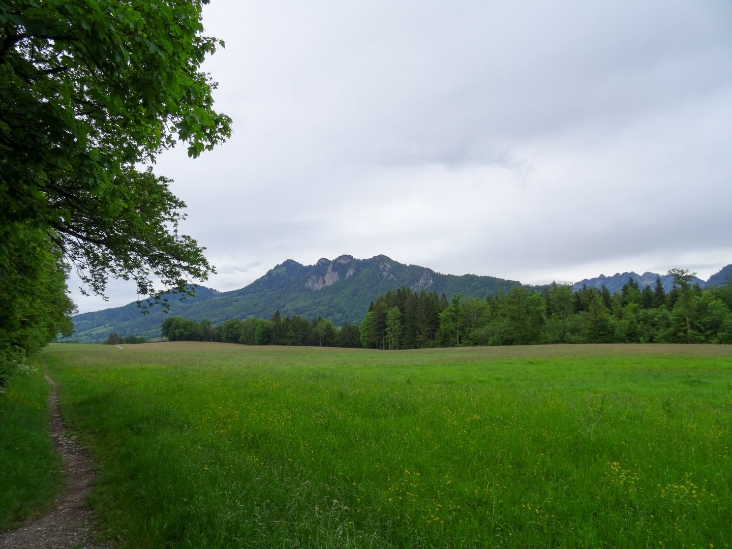 Unterwegs auf einem Naturpfad mit Blick auf die Freiburger Voralpen