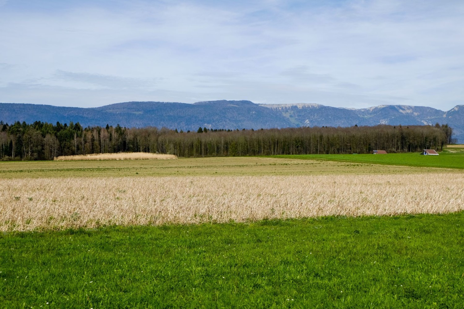 Vom Solothurner Limpachtal an die Aare