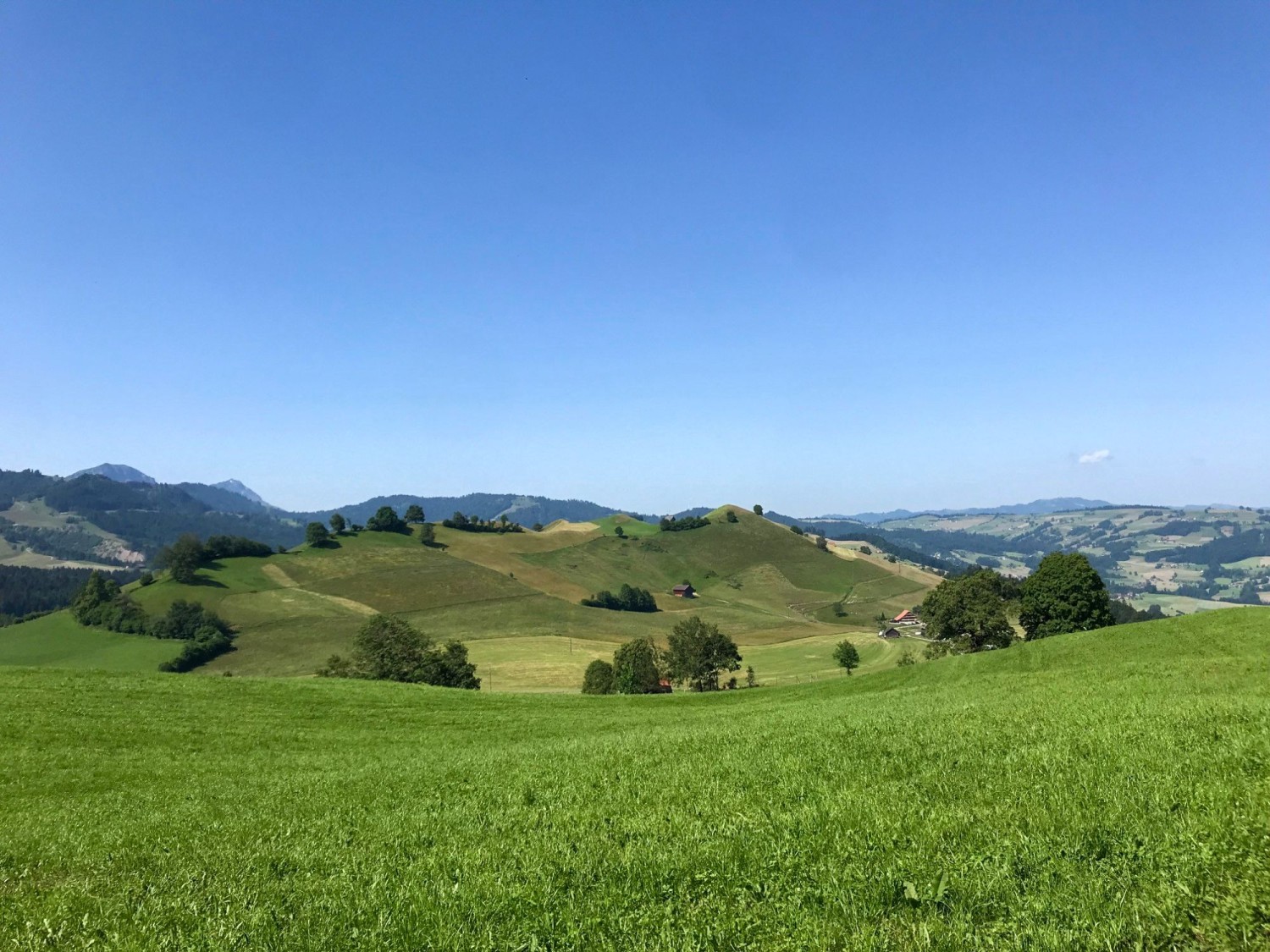 Uno sguardo indietro sull’ameno paesaggio di drumlin di Schwarzenberg.