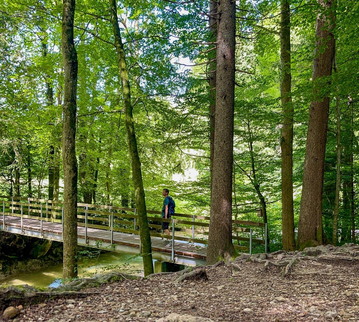 L’avant-dernier pont des gorges, avant que le décor ne s’ouvre et que la randonnée se poursuive notamment à travers des prairies.