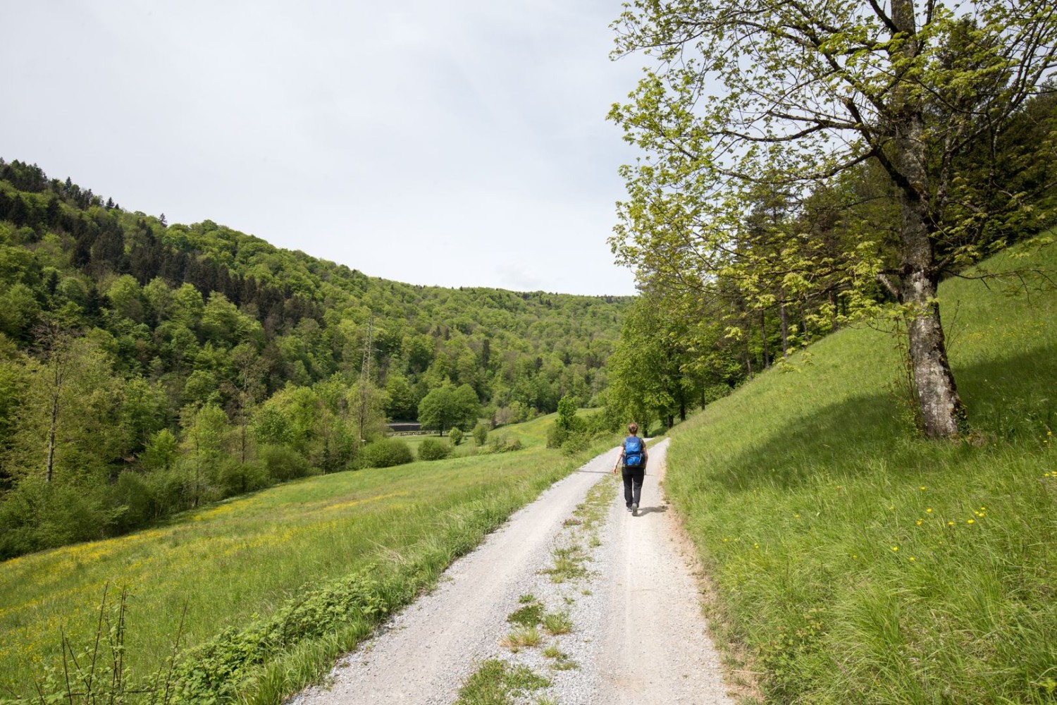 Der Weg ist mal breit, dann wieder ein schmaler Pfad.