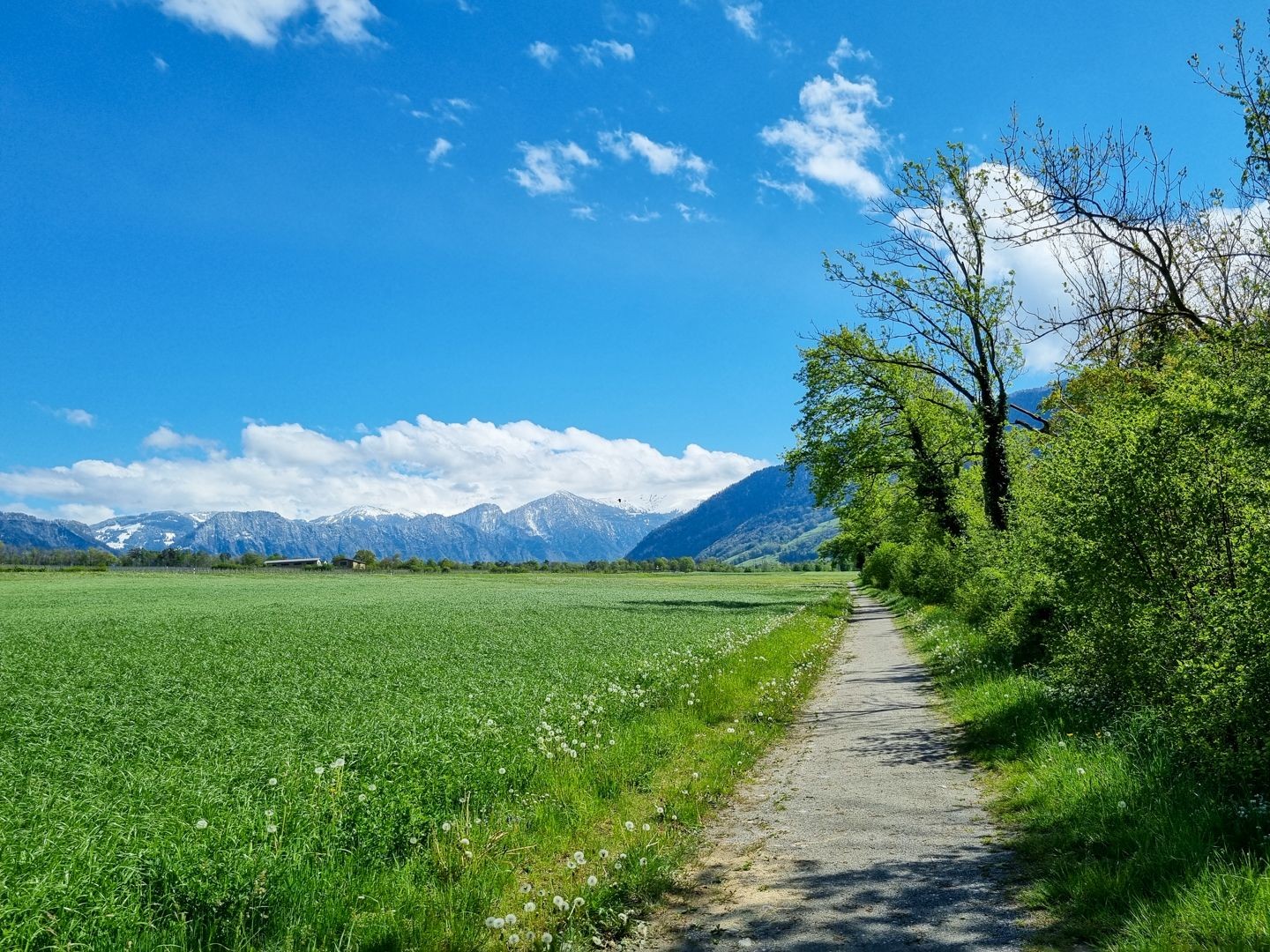 In dirittura di arrivo verso Bad Ragaz.