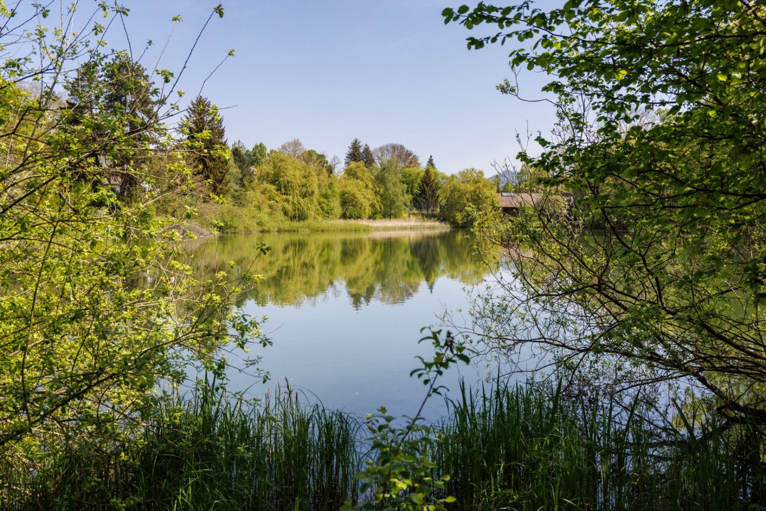 Der Egelsee: ein Naherholungsgebiet für die Stadtberner und -bernerinnen.