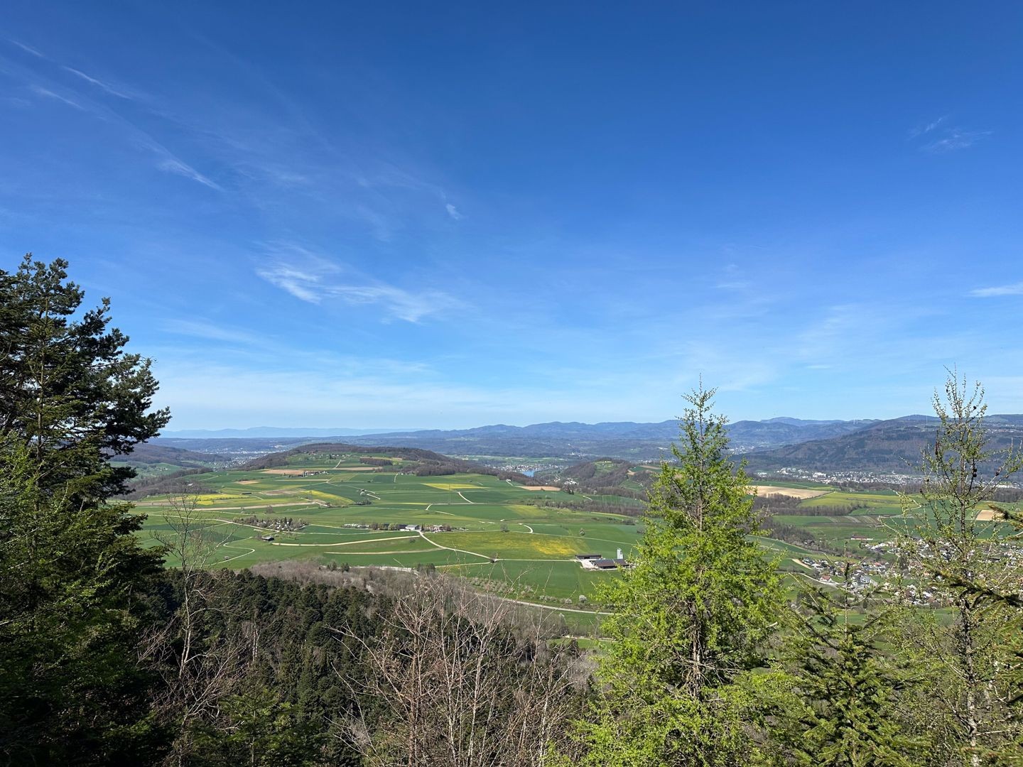 La veduta dal dorsale del Tiersteinberg sulla Fricktal.