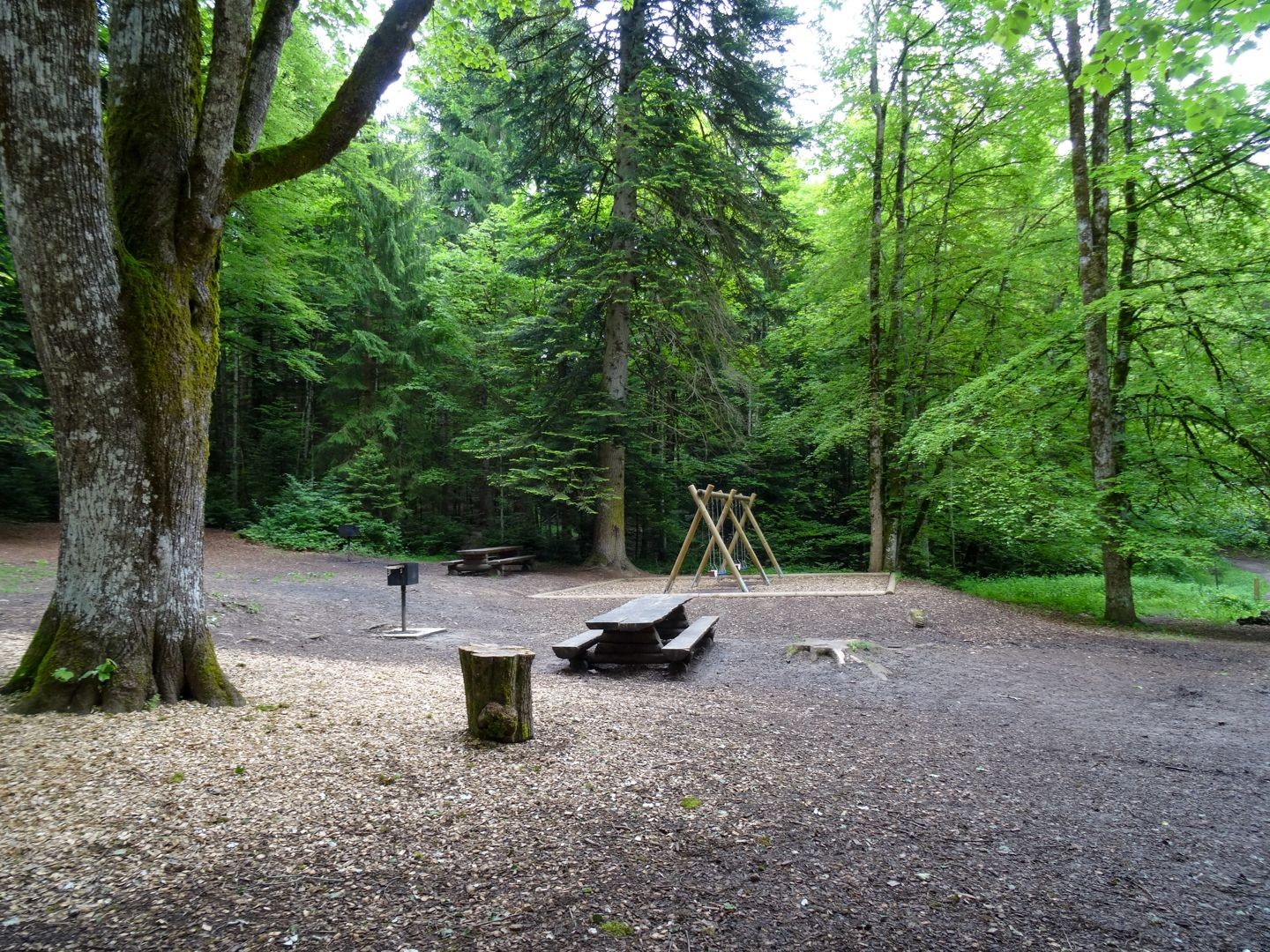 Ein zweiter Spielplatz «Quatre-Sapins» wartet im Wald von Bulle.