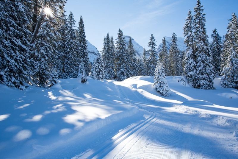 Hinter den verschneiten Tannen und Fichten kann man die Gipfel der Churfirsten ausmachen.