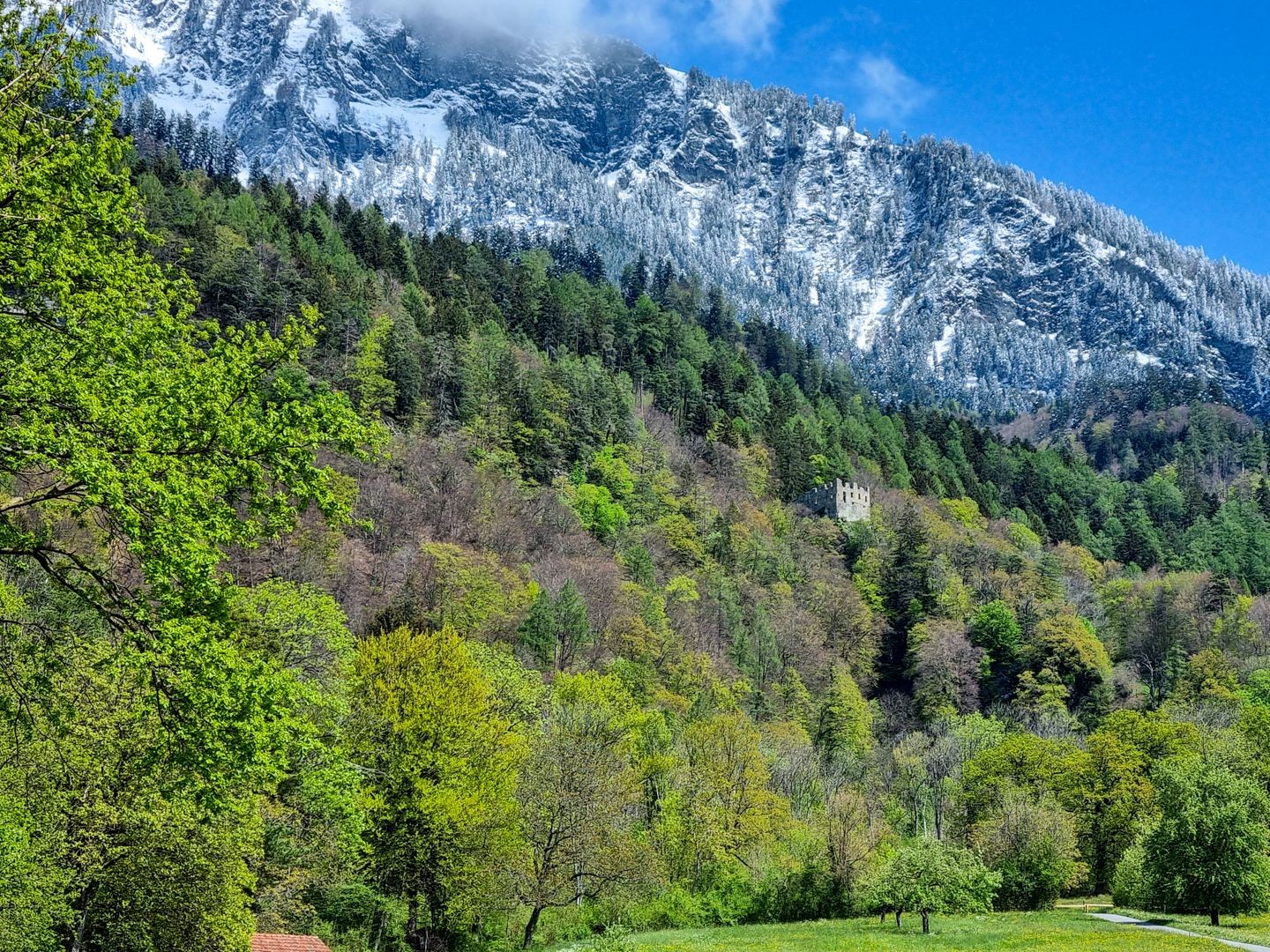 Aufmerksame Wandernde erblicken in der frühlingshaften Kulisse die eine oder andere Burgruine.