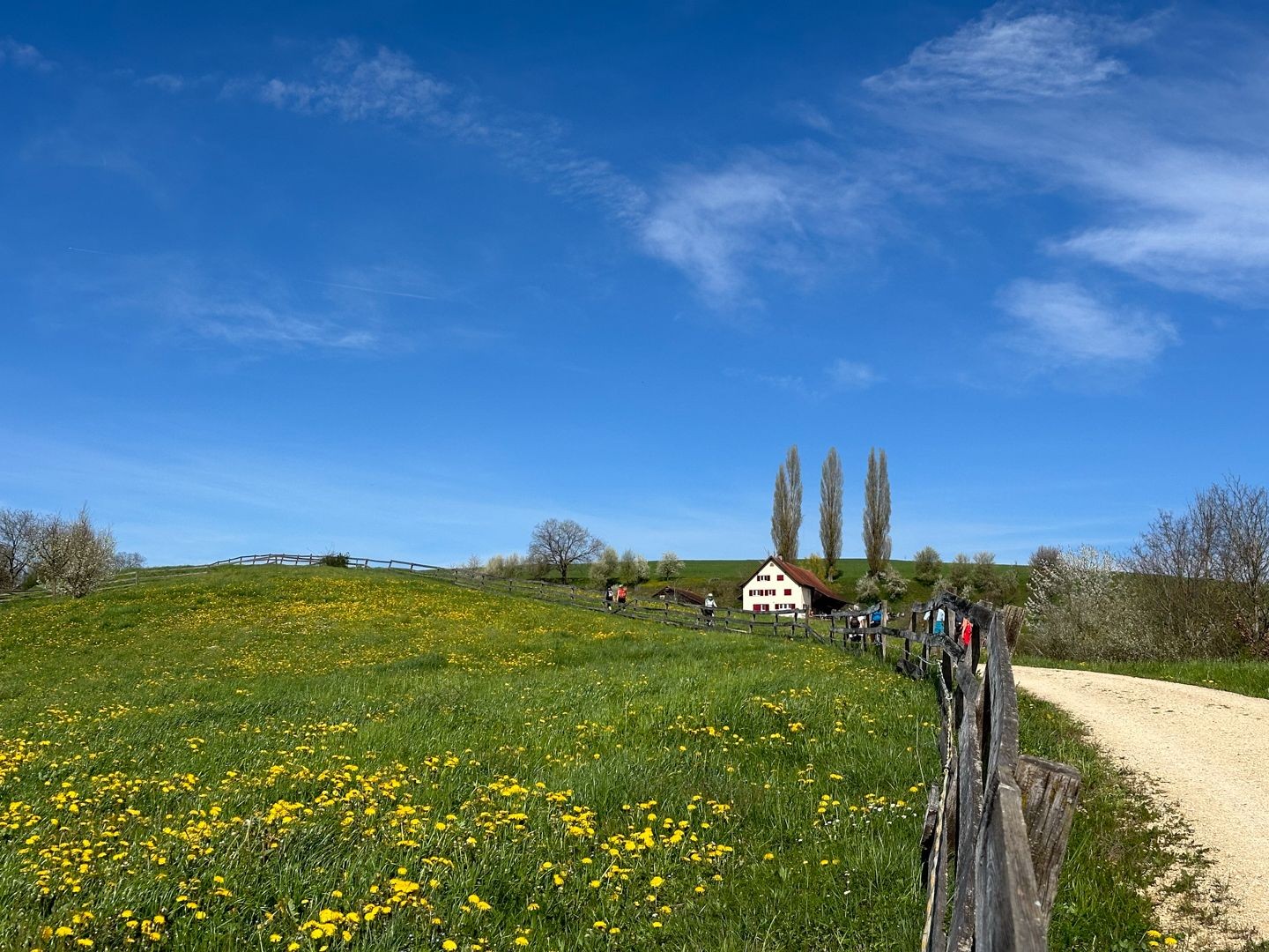 Verso la fattoria Wendelhof.