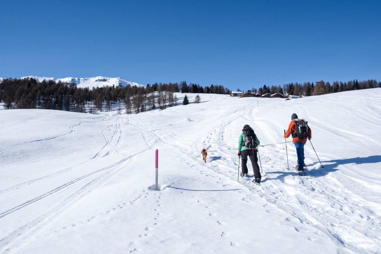 Plus qu’un champ de neige à gravir et le point le plus élevé de l’itinéraire, le hameau de Munter, sera atteint.