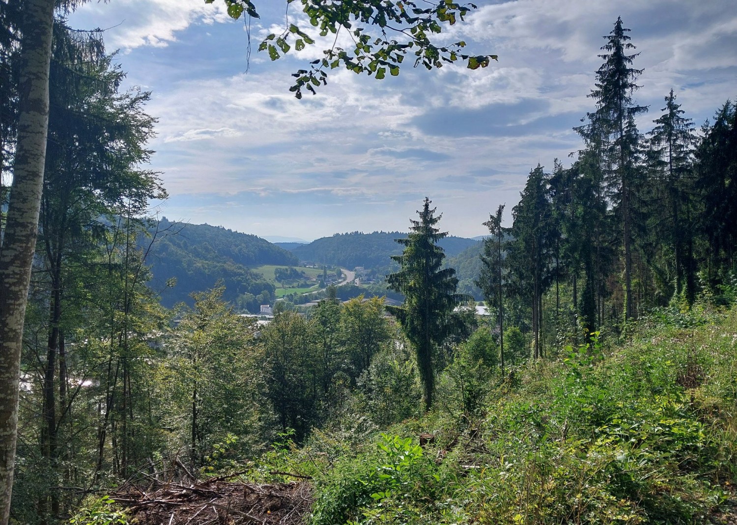 Blick ins Merishausertal