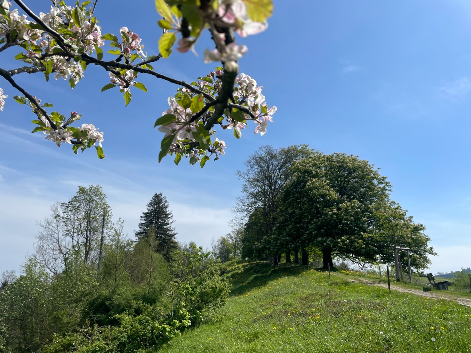 Vom Freudenberg geht es aussichtsreich nach St. Gallen hinunter.