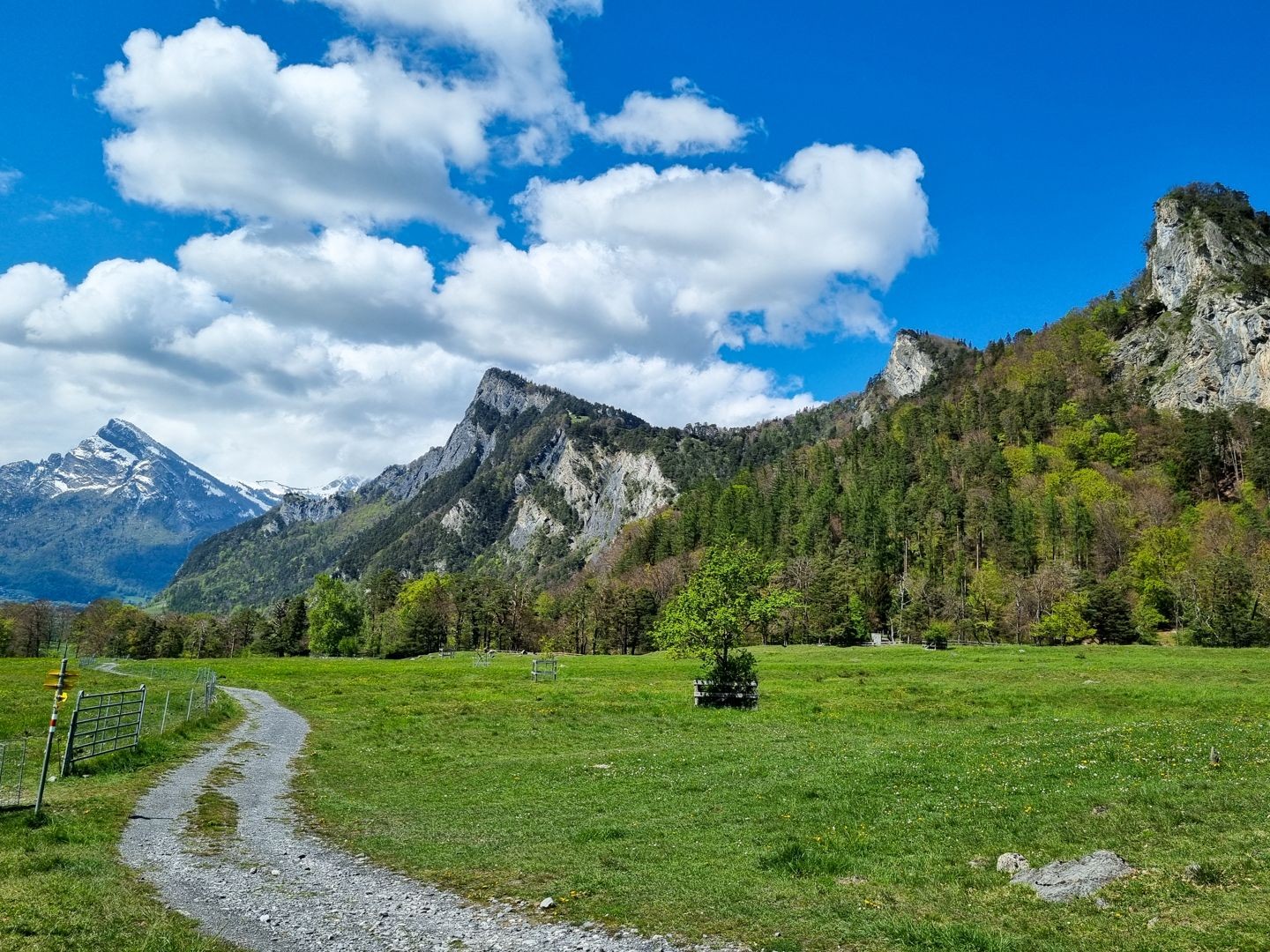 Sulle vette del Fläscherberg a destra del sentiero la neve si è già sciolta.